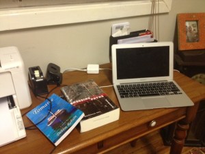 Debbie Robson's study